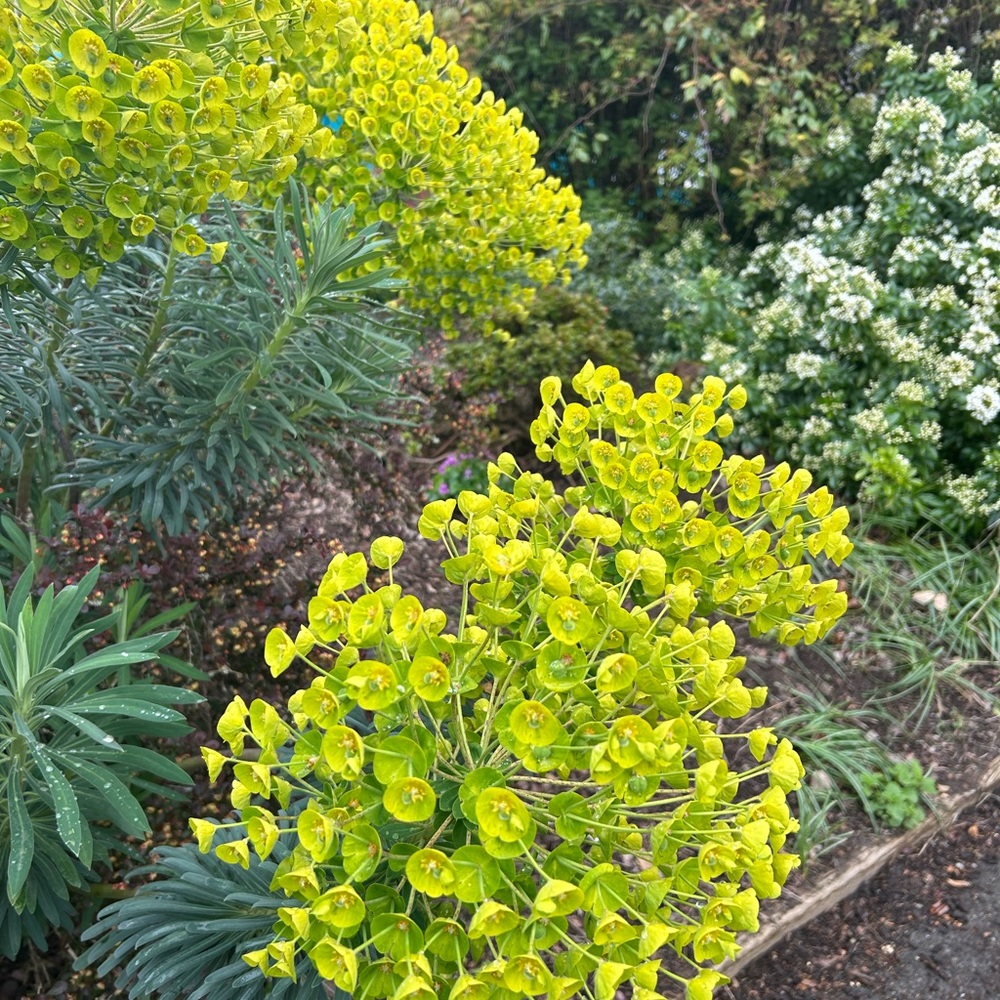 Meet your Posher, Claudia